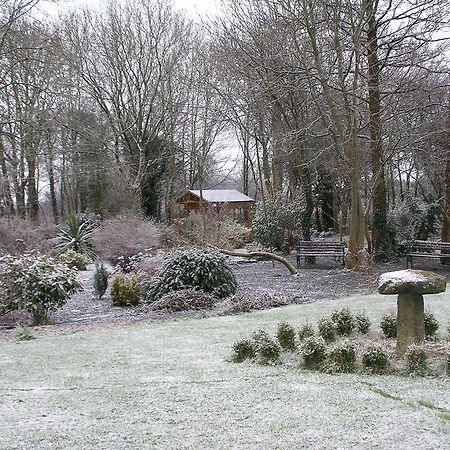 Moonarch Bed And Breakfast Kilkenny Exterior photo