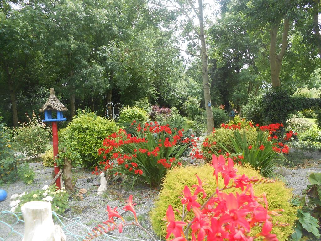Moonarch Bed And Breakfast Kilkenny Exterior photo