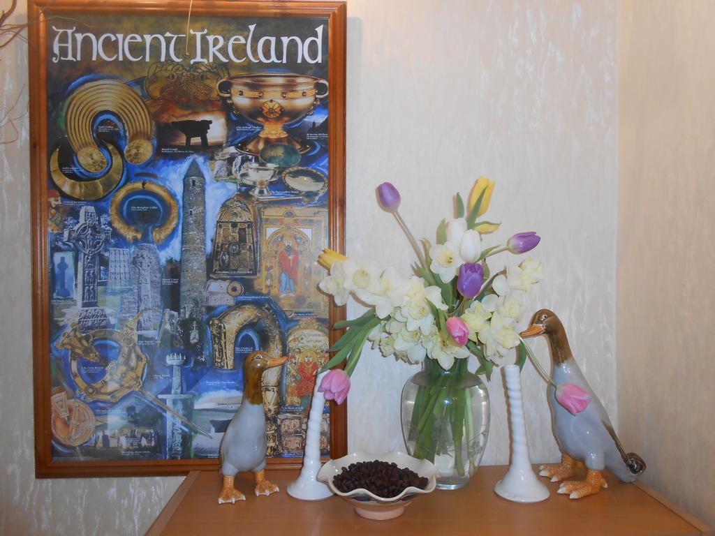 Moonarch Bed And Breakfast Kilkenny Exterior photo