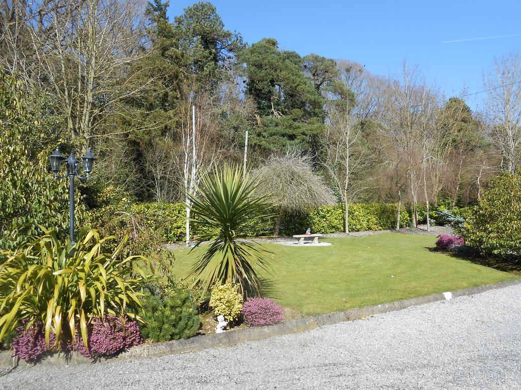 Moonarch Bed And Breakfast Kilkenny Exterior photo