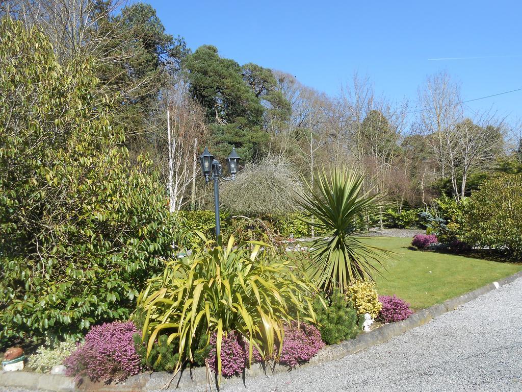 Moonarch Bed And Breakfast Kilkenny Exterior photo