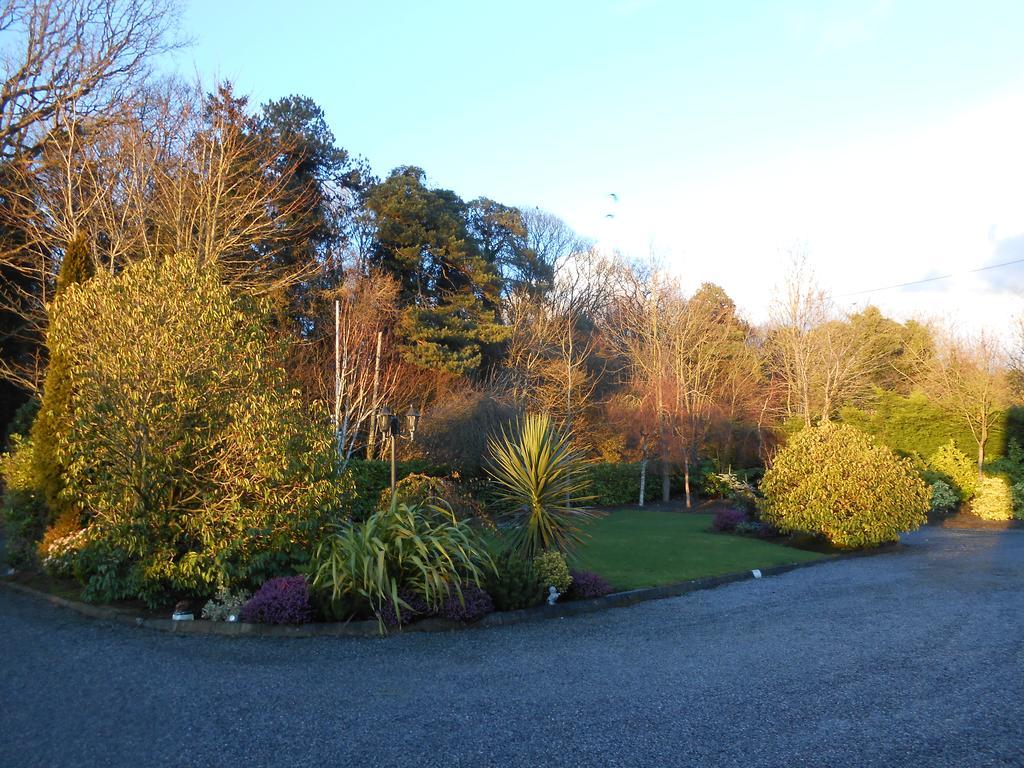 Moonarch Bed And Breakfast Kilkenny Exterior photo