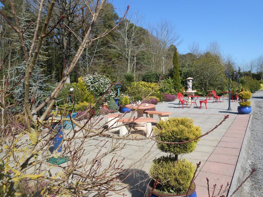 Moonarch Bed And Breakfast Kilkenny Exterior photo
